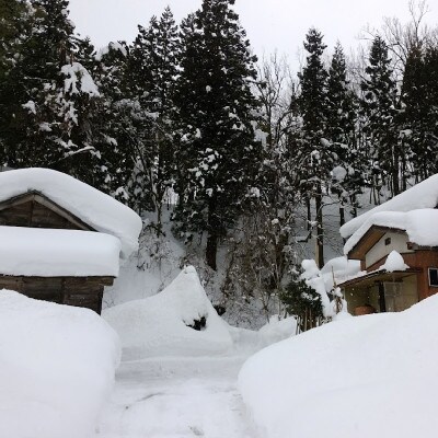 【毎月定期便】新潟県上越市吉川区国田産/特別栽培米コシヒカリ 玄米5kg(1袋)全12回