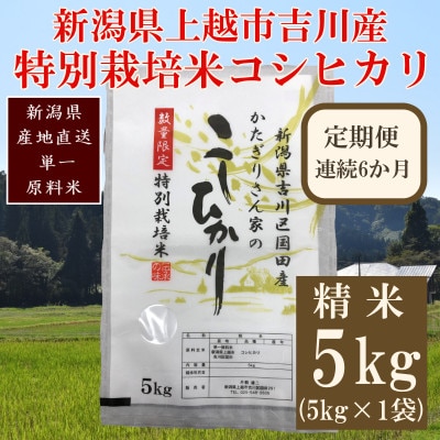 【毎月定期便】新潟県上越市吉川区国田産/特別栽培米コシヒカリ 精米5kg(1袋)全6回