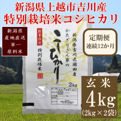 �y��������ցz�V������z�s�g��捑�c�Y/���ʍ͔|�ăR�V�q�J�� ����4kg(2kg×2��)�S12��