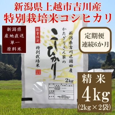 【毎月定期便】新潟県上越市吉川区国田産・特別栽培米コシヒカリ 精米4kg(2kg×2袋)全6回