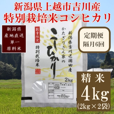 【2ヵ月毎定期便】新潟県上越市吉川区国田産/特別栽培米コシヒカリ 精米4kg(2kg×2袋)全6回