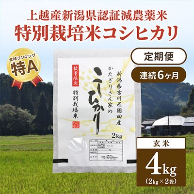 自然栽培 玄米 23kg 2024年産 コシヒカリ 自然栽培 玄米 23kg 2024年産 コシヒカリ（2024年9月中旬から