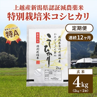 2024年1月発送開始『定期便』新潟県上越市吉川区国田産コシヒカリ玄米4kg(2k×2袋)全12回