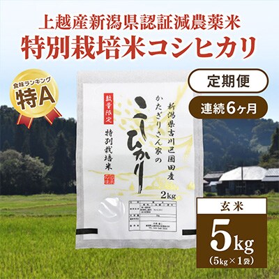 2023年3月発送開始『定期便』新潟県上越市吉川区国田産 コシヒカリ玄米5kg(1袋)全6回