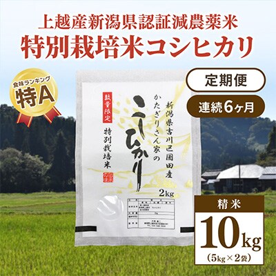 2023年3月発送開始『定期便』新潟県上越市吉川区国田産コシヒカリ精米10kg(5k×2袋)全6回