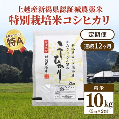 2023年3月発送開始『定期便』新潟県上越市吉川区国田産 コシヒカリ精米10k(5k×2)全12回