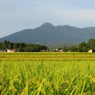 標高200mで育てた棚田米|令和7年・新潟県上越産・にじのきらめき精米5kg