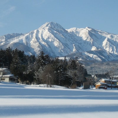 標高200mで育てた棚田米|令和7年・新潟県上越産・にじのきらめき精米10kg