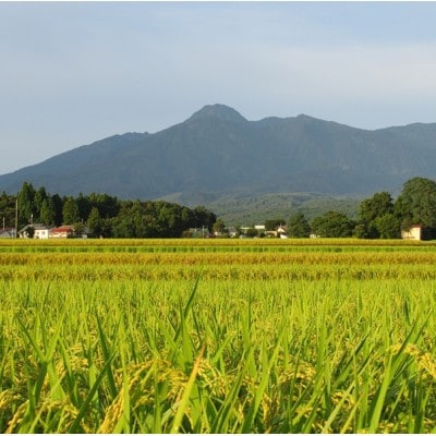 標高200mで育てた棚田米|令和7年・新潟県上越産・にじのきらめき精米10kg