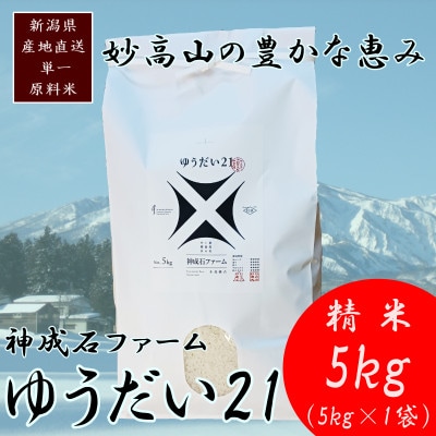 標高200mで育てた棚田米|令和7年・新潟県上越産・ゆうだい21 精米5kg