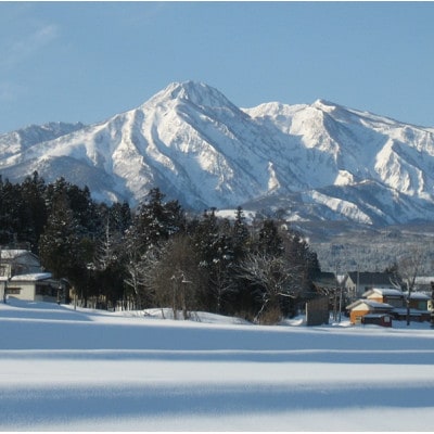 標高200mで育てた棚田米|令和7年・新潟県上越産・ゆうだい21 精米5kg