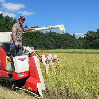 【毎月定期便】標高200mで育てた棚田米|新潟上越・早生品種つきあかり精米15k(5×3)全12回