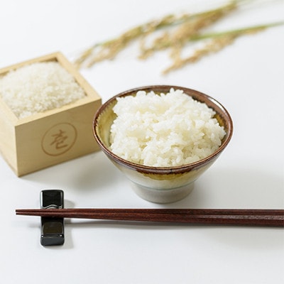 【毎月定期便】標高200mで育てた棚田米|新潟県上越市中郷産・従来種コシヒカリ精米5kg全6回