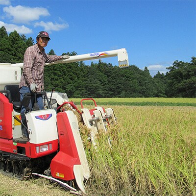 2024年1月発送開始『定期便』新潟県上越市中郷産 従来種コシヒカリ精米5kg 隔月全6回