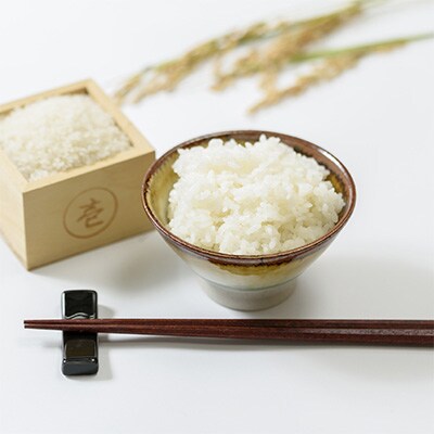 2024年1月発送開始『定期便』新潟県上越市中郷産 早生品種つきあかり精米15kg全12回