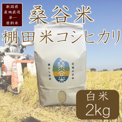 令和7年新潟県上越産　桑谷ファーム/桑谷米(棚田米コシヒカリ)白米2kg