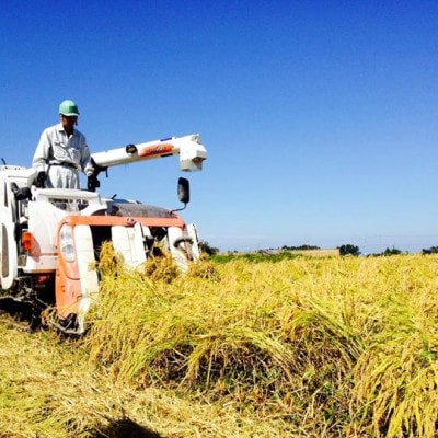 令和7年新潟県上越産　桑谷ファーム/桑谷米(棚田米コシヒカリ)白米2kg