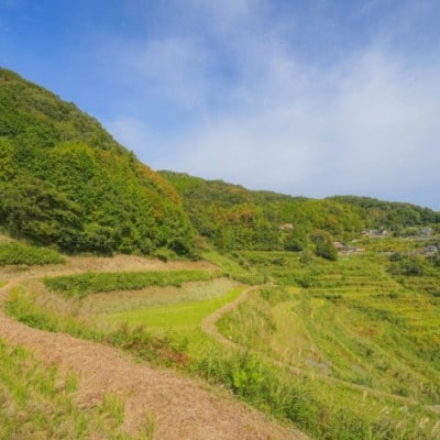 令和7年新潟県上越産　桑谷ファーム/桑谷米(棚田米コシヒカリ)白米2kg