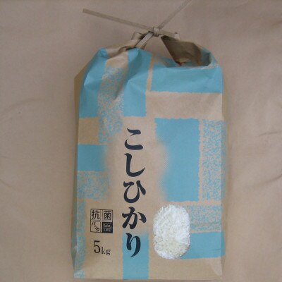 中郷区産のお米　こしひかり 10kg(5kg×2袋)