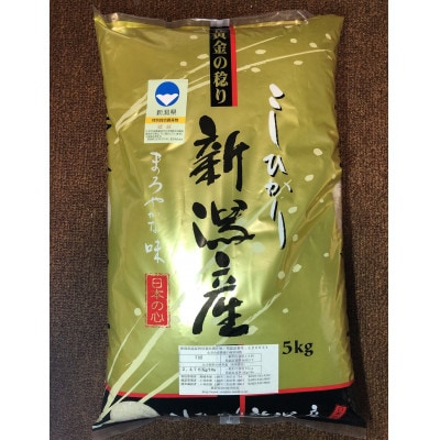 令和4年度産　コシヒカリ　5kg