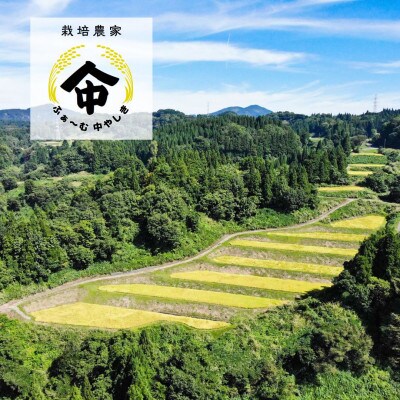 農家直送!新潟県産棚田のコシヒカリ「あさひかがやく」　白米2kg・ふぁ～む中やしき