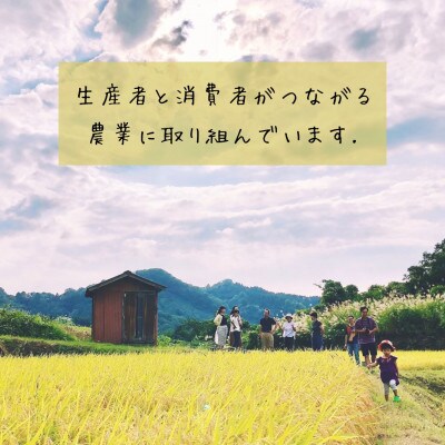 農家直送!新潟県産棚田のコシヒカリ「あさひかがやく」　白米2kg・ふぁ～む中やしき
