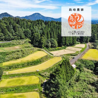 農家直送!新潟県産棚田のコシヒカリ「あさひかがやく」　白米2kg・うしだ屋