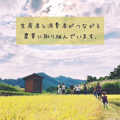 【毎月定期便】農家直送!新潟県産棚田のコシヒカリ「あさひかがやく」白米2kg 全3回