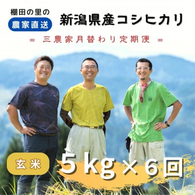 【毎月定期便】農家直送!新潟県産棚田のコシヒカリ「あさひかがやく」玄米5kg 全6回