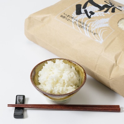 数量限定★令和6年産|棚田米コシヒカリ|新潟上越牧産ブランド米「幻米」4kg(2kg×2袋)白米