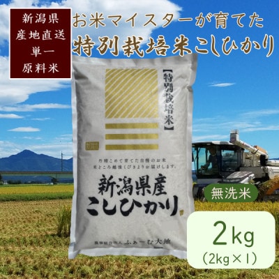 お米マイスターが育てた特別栽培米 精米コシヒカリ 上越産 令和7年産 2kg(2kg×1袋)無洗米