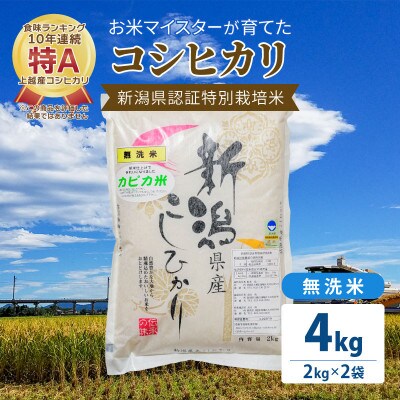 お米マイスターが育てた特別栽培米 精米コシヒカリ 上越産 令和5年産 4kg(2kg×2袋)無洗米