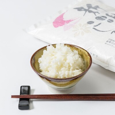 お米マイスターが育てた特別栽培米 精米コシヒカリ 上越産 令和5年産 4kg(2kg×2袋)無洗米