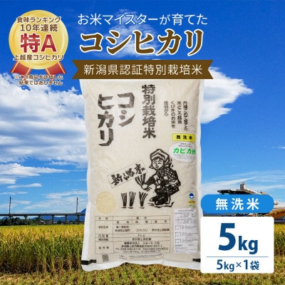お米マイスターが育てた特別栽培米 精米コシヒカリ 上越産 令和5年産 5kg(5kg×1袋)無洗米