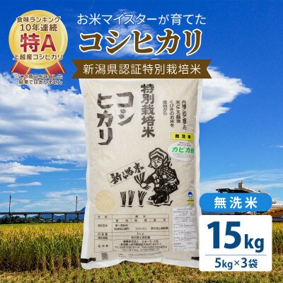 お米マイスターが育てた特別栽培米 精米コシヒカリ 上越産 令和5年産 15kg(5kgx3袋)無洗米