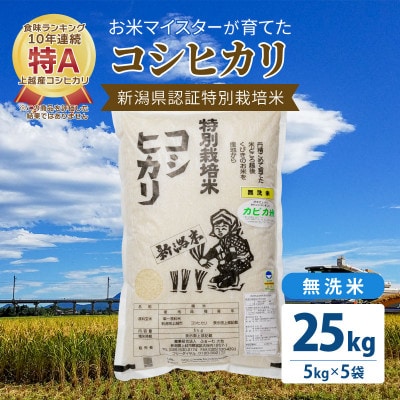 お米マイスターが育てた特別栽培米 精米コシヒカリ 上越産 令和5年産 25kg(5kg×5袋)無洗米