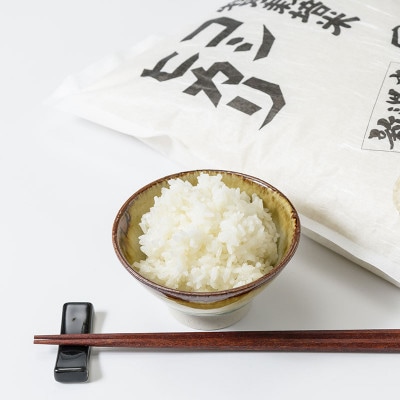お米マイスターが育てた特別栽培米 精米コシヒカリ 上越産 令和5年産 25kg(5kg×5袋)無洗米