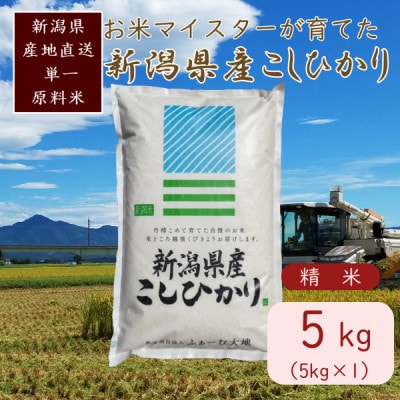令和7年産 お米マイスターが育てた上越産コシヒカリ5kg (5kg×1)白米　精米