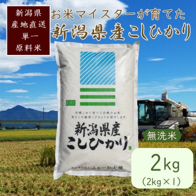 令和7年産 お米マイスターが育てた上越産コシヒカリ2kg(2kg×1)無洗米　精米
