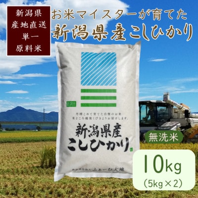 令和7年産 お米マイスターが育てた上越産コシヒカリ10kg(5kg×2)無洗米　精米