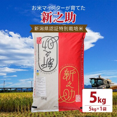 令和5年産お米マイスターが育てた新潟県認証特別栽培米「新之助」上越頸城産 5kg(5kg×1)精米