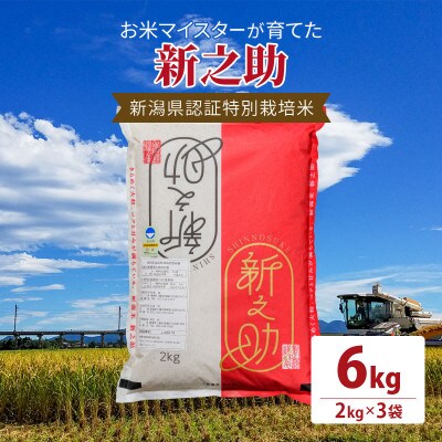 令和5年産お米マイスターが育てた新潟県認証特別栽培米「新之助」上越頸城産 6kg(2kg×3)精米