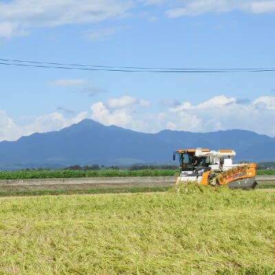 令和5年産お米マイスターが育てた新潟県認証特別栽培米「新之助」上越頸城産 6kg(2kg×3)精米