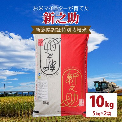 令和5年産お米マイスターが育てた新潟県認証特別栽培米「新之助」上越頸城産 10kg(5kg×2)精米