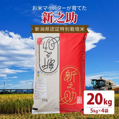 お米マイスターが育てた新潟県認証特別栽培米「新之助」上越頸城産令和5年産 20kg(5kg×4)精米