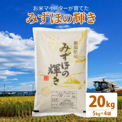 お米マイスターが育てた令和5年産上越産みずほの輝き 20kg(5kg×4)白米精米