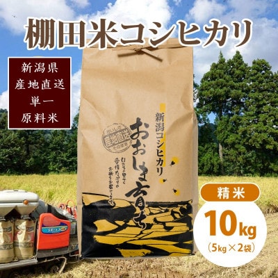 極少量米:数量限定令和6年産/新潟県上越市大島区産 棚田米コシヒカリ 10kg(5kg×2)精米