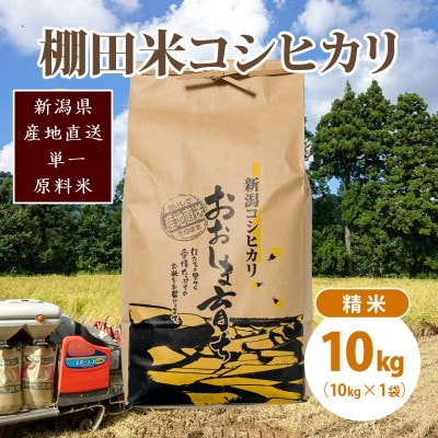 極少量米:数量限定令和6年産/新潟県上越市大島区産 棚田米コシヒカリ 10kg(10kg×1)精米
