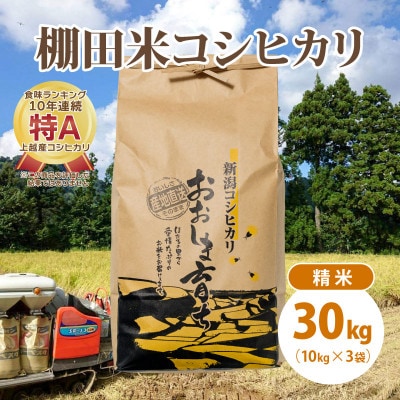 極少量米:数量限定令和5年産/新潟県上越市大島区産 棚田米コシヒカリ 30kg(10kg×3)精米