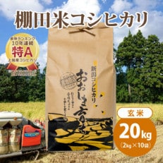 極少量米:数量限定令和5年産/新潟県上越市大島区産 棚田米コシヒカリ 20kg(2kg&times;10)玄米